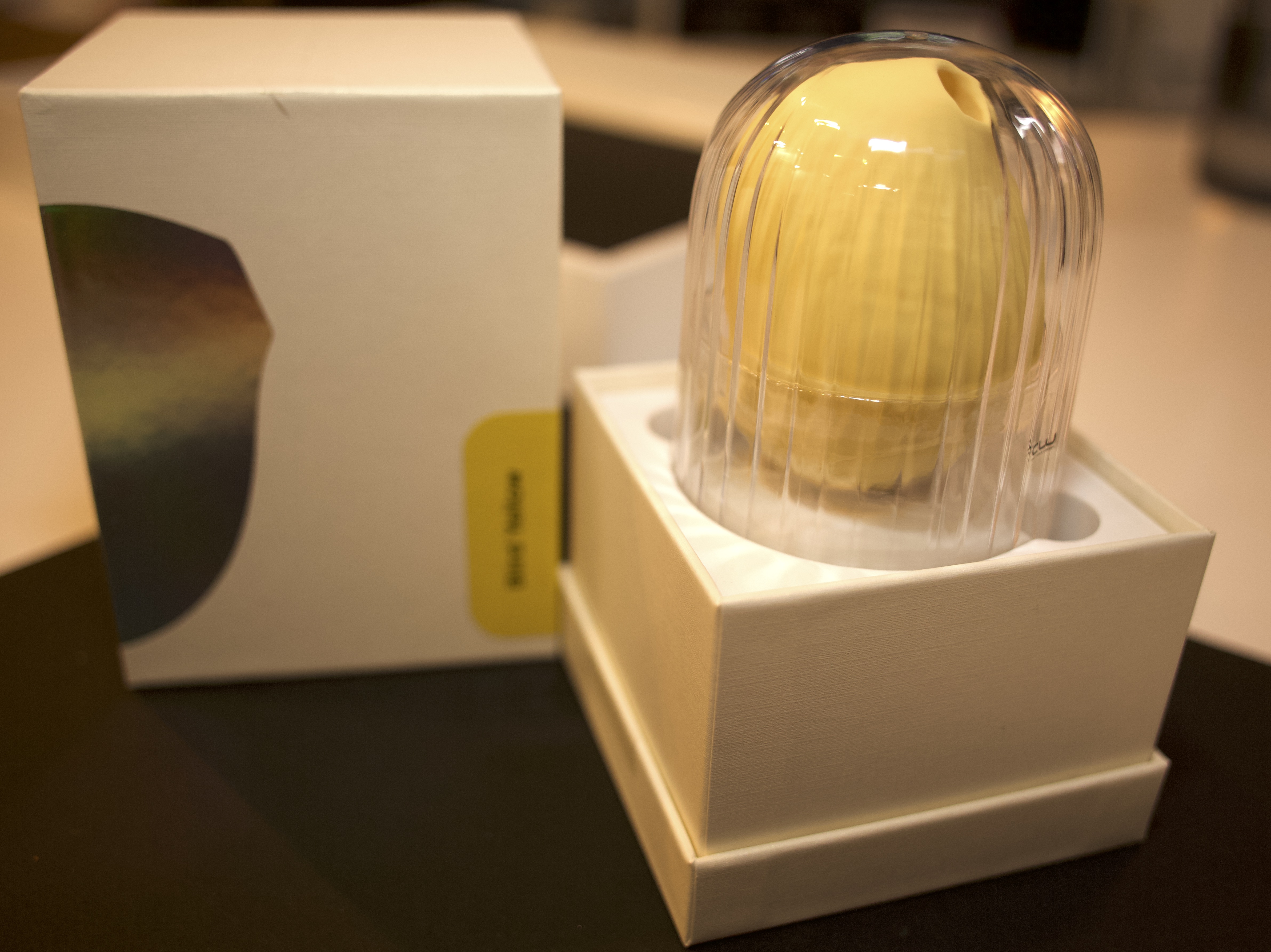 Review of Obii biird rachel wright
