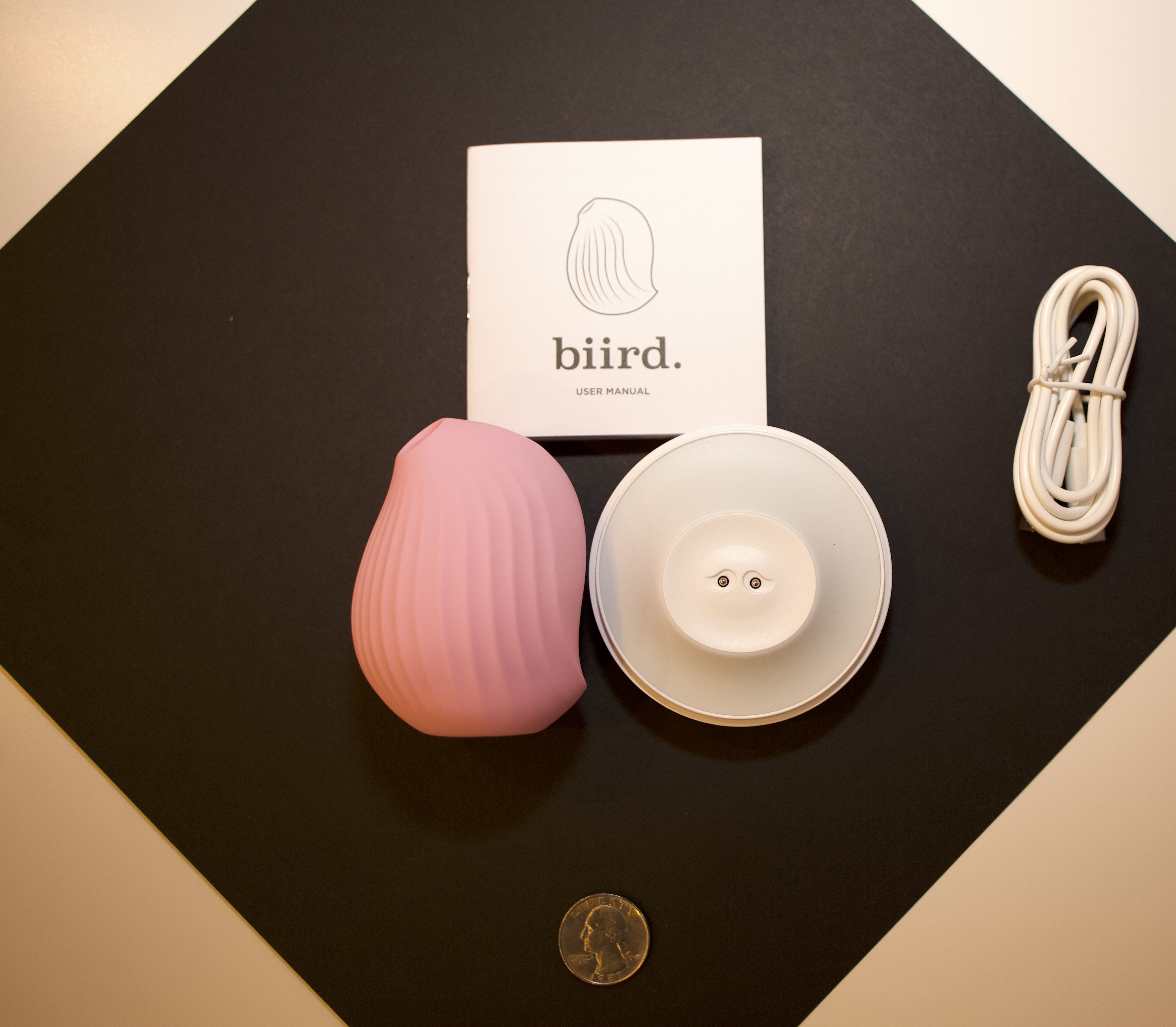 Review of Obii biird rachel wright