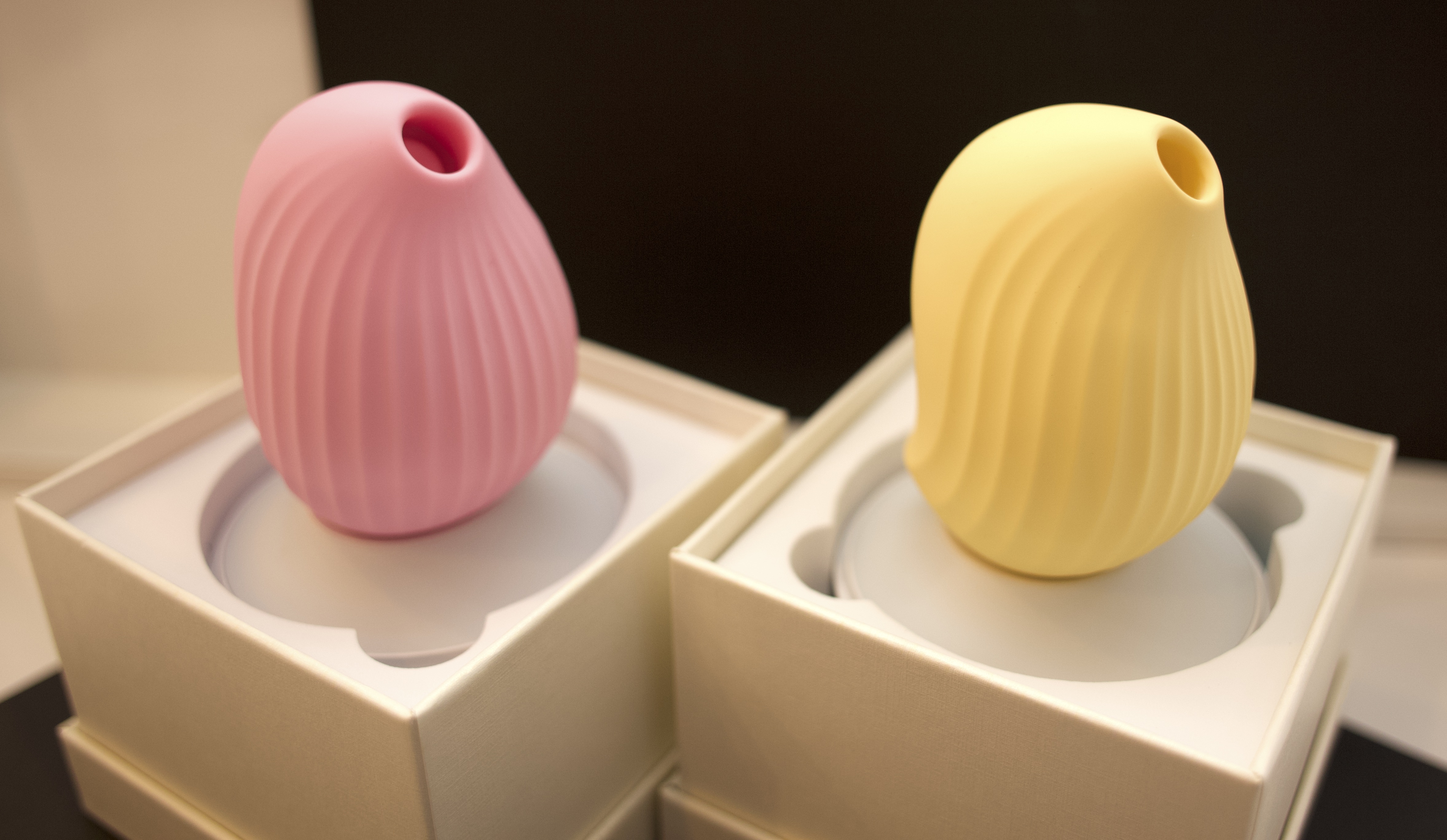 Review of Obii biird rachel wright